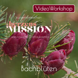 herzensMISSION · Juni -VideoWorkshop-