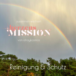 herzensMISSION · Reinigung & Schutz